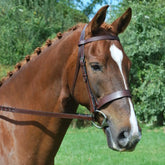 Black Oak FoxTrot Hunt Bridle